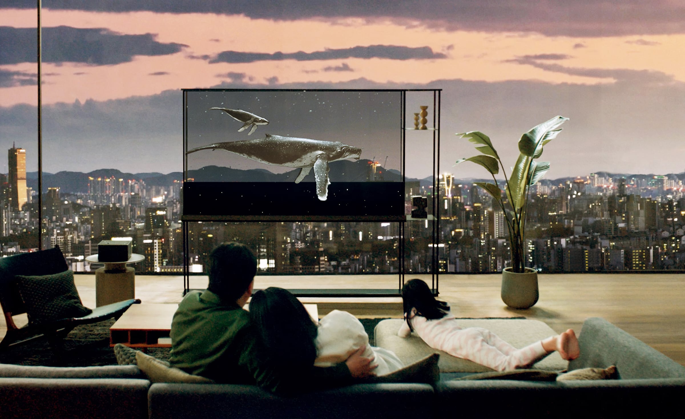 影音 | LG 首款透明 OLED 电视首次亮相，售价 60,000 美元-PCX 梦旅人